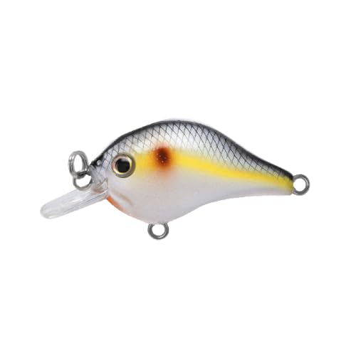 Bill Lewis Gnat Micro-Crankbait Lifelike Fishing Lure 1.5" Length 1/8 Oz - color: Sneaky Shad