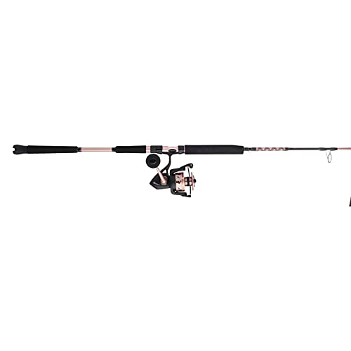 Penn Passion II Spinning Reel and Fishing Rod Combo - size: 6000 Size Reel - 6'6" - Medium Heavy - 1pc