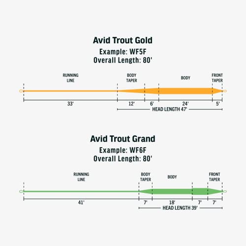 RIO Products Avid Series Trout Fly Line, Slickcast Freshwater Fly Fishing Line for Trout, Floating - size: WF6F, style: Avid Gold