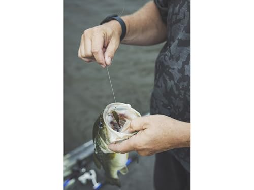 Yamamoto 5" SHAD Shape Floater - color: Multi