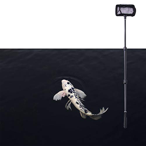 POPETPOP Fishing Net with Handle : Extendable Fish Net for Fish Tank Pond, Extend to 39.4 Inch