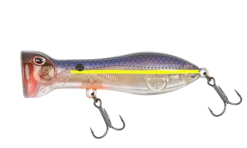 Nomad Design Chug Norris 72 Topwater Popper Lure – 3" - 3/8oz Floating Autotune Plug for Freshwater & Saltwater – Erratic Yet Natural Action - Proven on Big Bass and Smaller Saltwater Species - color: Aqua Ghost