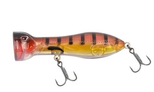 Nomad Design Chug Norris 72 Topwater Popper Lure – 3" - 3/8oz Floating Autotune Plug for Freshwater & Saltwater – Erratic Yet Natural Action - Proven on Big Bass and Smaller Saltwater Species - color: The Grunt