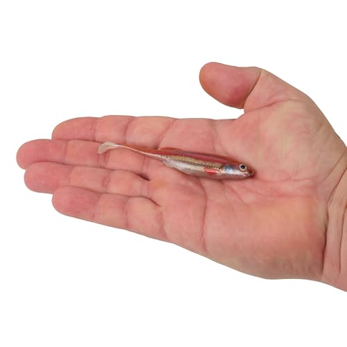 Berkley PowerBait Drip Swimmer Fishing Soft Bait - color: HD Rainbow Shiner, size: 4"