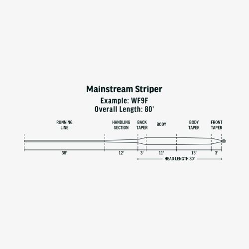 RIO Products Mainstream Striper, Fly Fishing Line for Striped Bass, Cold Water Series - size: WF8I