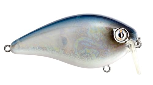 Strike King KVD 2.5 Wake Bait Fishing Lure, 3/8 oz, Unique Clacking Sound - color: 681 - Pro Blue