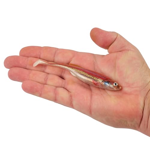 Berkley PowerBait Drip Swimmer Fishing Soft Bait - color: HD Rainbow Shiner, size: 5"
