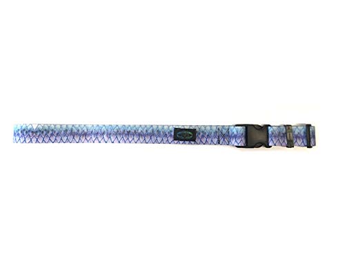 Wingo Outdoors Wading Belt, Tarpon (W-WAD-116-OS)