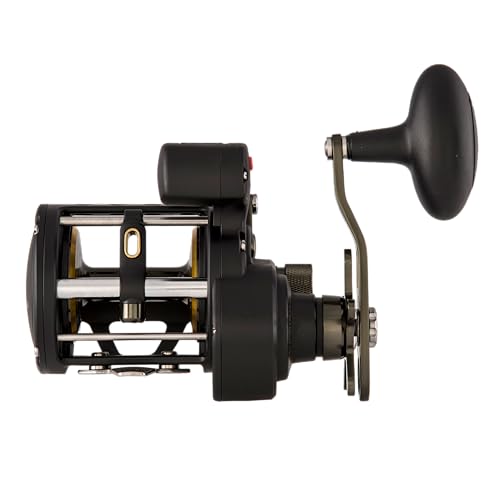 Fathom II Level Wind-Multirolle – Salzwasser-Angelrolle für Boots-, Küsten- und Kajakangeln - size: 20