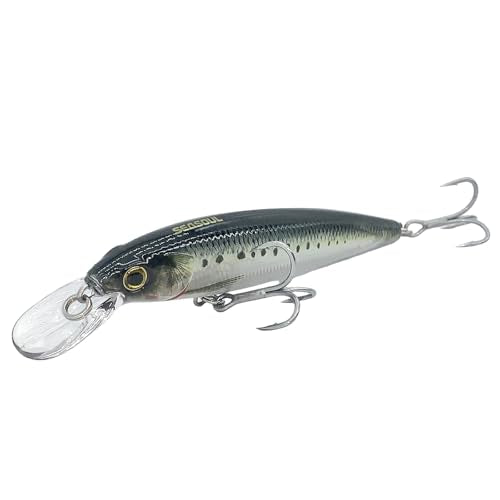 LOGOFUN 2Pcs Fishing Lures Top Water and Deep Sea Bass Fishing Lure for Freshwater and Saltwater Swim Bait 3D Holographic Laser Floating Lure Angling Fishing Gear, 4.7 Inch, 0.8 oz, SW-120F - color: #YS & #SD