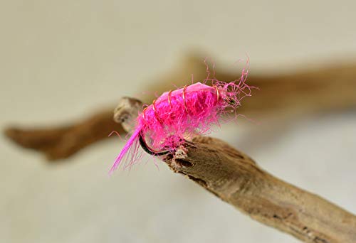 Scud Nymph Fishing Flies | Choose from Olive, Tan & Pink | Mustad Signature Fly Hooks | Perfect for Trout - style: 1 Doz Pink Hook #16
