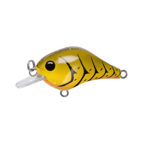 Bill Lewis Gnat Micro-Crankbait Lifelike Fishing Lure 1.5" Length 1/8 Oz - color: Green Pumpkin Craw