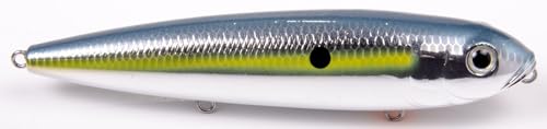 Strike King KVD Sexy Dawg - color: Chrome Sexy Shad