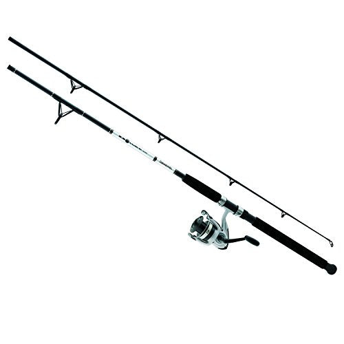 Daiwa D-Wave Saltwater Spinning Combo (2 Piece)