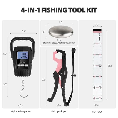 Fishing Tool Kit with Fish Gripper, Portable Fish Scale, Stainless Steel Soap & Measuring Ruler – Saltwater Resistant Tackle Accessories for Freshwater and Saltwater Anglers (4, Black & Pink) - color: Black & Pink, 4-in-1 Kit