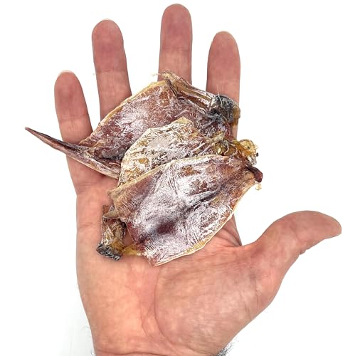 AirFly Folding Fish Measuring Board + Crab Bait β Crabbing Starter Kit