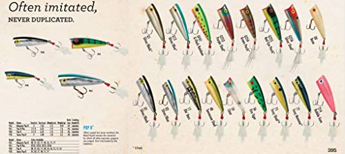 Rebel Lures Pop-R Topwater Popper Fishing Lure - color: Foxy Shad, style: Pop-r (1/4 Oz)