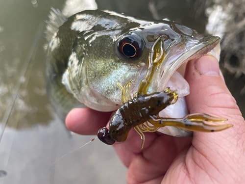 Rebel LIVEFLEX™ Creek Craw Soft Plastic - color: Texas Red