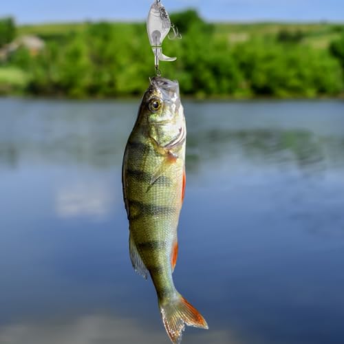 10pcs/20pcs Fishing Blanks Lures Kit Fishing Topwater Unpainted Swimbait Unpainted Crankbaits Hard Baits DIY Lure for Bass Salmon Trout Saltwater and Freshwater - color: H: 10Pcs 0.53oz/15g