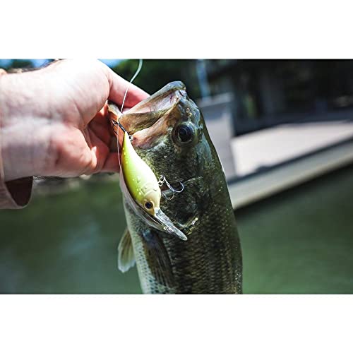 Berkley Money Badger Fishing Hard Bait - color: FX Shad, size: 1 1/2in - 3/16 oz
