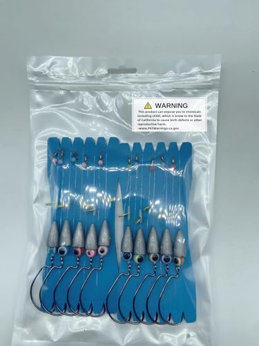 10Pcs Fishing Bullet Weights Texas Rigs Ready Kit,Worms, Sinker (10g/7g/5g), Worm Hooks, Carbon line,Spinner Blades,Eye Beads Bait, Fishing Bass Rig Saltwater Freshwater - size: 3/0,10g