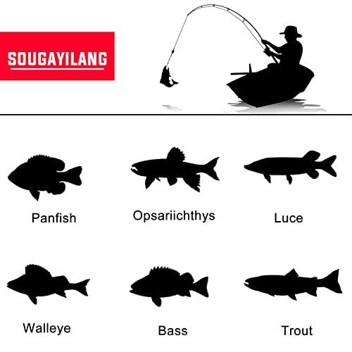 Sougayilang Fishing Pole with Spinning Reel Portable Fishing Rod Reel Combos - size: 1.8M/5.91FT Rod with 2000 Reel, style: Full Kits With Bag