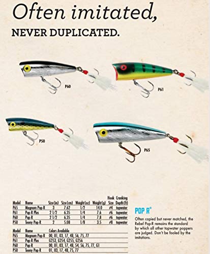 Rebel Lures Pop-R Topwater Popper Fishing Lure - color: Tennessee Shad, style: Magnum Pop-r (1/2 Oz)