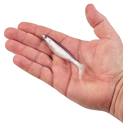 Berkley PowerBait The Champ Swimmer Fishing Soft Bait - color: HD Purple Smelt, size: 3.8"