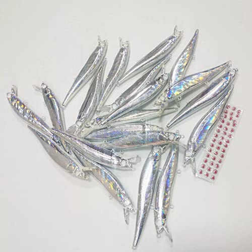 Blank Hard Lures Kit Unpainted Fishing Baits Sets Crankbait Wobblers Freshwater Fish Lure Wobblers Minnow Lure Bodies Fishing Tackle - color: 20pcs 11CM/13G