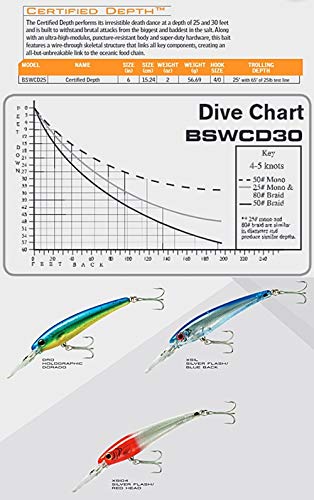 Bomber Lures Certified Depth Saltwater Grade Fishing Lure - color: Silver Mullet, size: 6-Inch