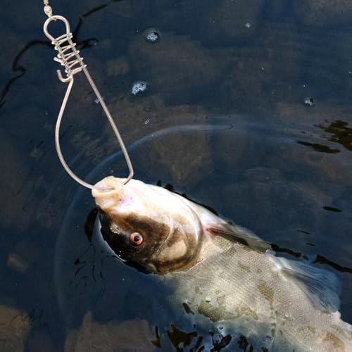BESPORTBLE Fish Stringer Clips Stainless Steel Live Fish Holder Portable Clip with Spring Lock for Outdoor Fishing Fishing Accessories for Keeping Alive 20 Pack