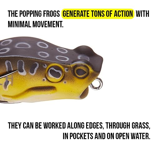 Lunkerhunt Frog Fishing Lure for Bass Fishing | Popping Frog Lure 1/4 oz | Topwater Fishing Bait with Weedless Hooks, Hollow Body, Trout Pike Lures - color: Croaker, size: 2.25 inch