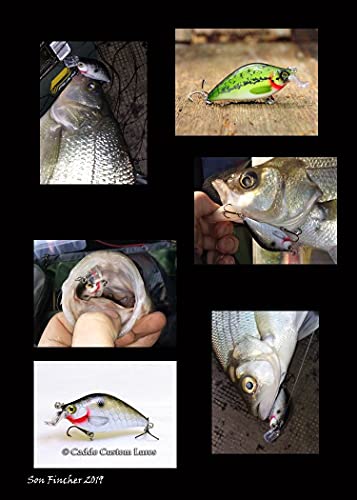 Blank Unpainted Minnow Crankbait Topwater Lipless Jerkbait Fishing Lures - color: UPC503