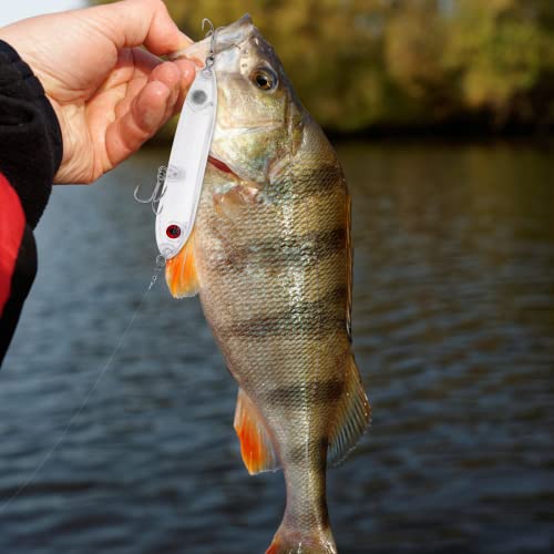 10pcs/20pcs Fishing Blanks Lures Kit Fishing Topwater Unpainted Swimbait Unpainted Crankbaits Hard Baits DIY Lure for Bass Salmon Trout Saltwater and Freshwater - color: B: 20pcs 0.35oz/10g
