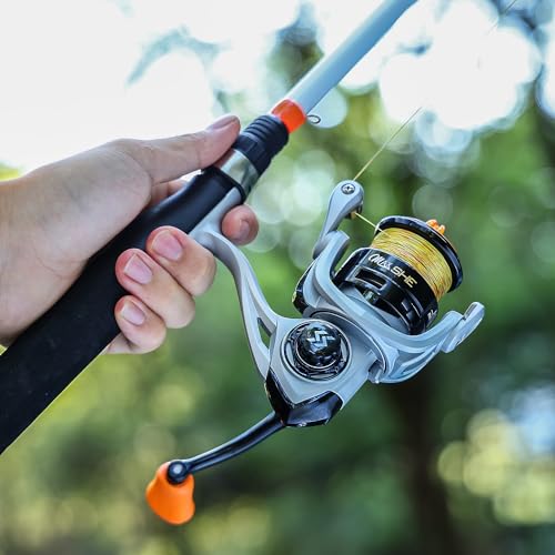 Sougayilang Fishing Reel, Ultralight Spinning Reels with Graphite Frame 5.2:1 High Speed for Saltwater or Freshwater Fishing