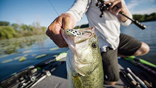 Berkley Powerbait Buzz'n Speed Toad - color: HD Black Panther