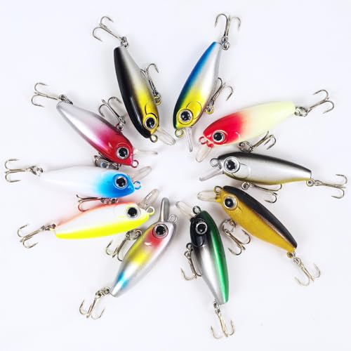 10Pcs Minnow Fishing Lure Square Bill Crankbait | Deep Diving Crankbait Jerkbait Sinking Lure Set Hard Baits for Bass Trout Catfish Musky Bluegill Fishing Plug