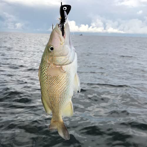 Fly Fishing Poppers Fly Fishing Dry Flies Topwater Fishing Lures Bass Popper Flies Bugs Lures Panfish Bait Fly Trout Bobber Flies Kit for Bass Trout Panfish Bluegill Salmon - color: A: 10pcs Fly Fishing Poppers