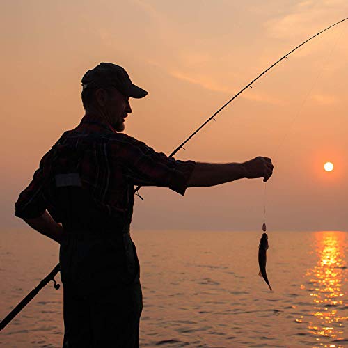Cadence Essence 2025 Compact Design Spinning Rod 5.6FT | 24-Ton Graphite Lightweight | Stainless Steel SIC Guides | Freshwater & Saltwater | High Sensitivity - style: 6'0"|light|moderate Fast|2 Piece