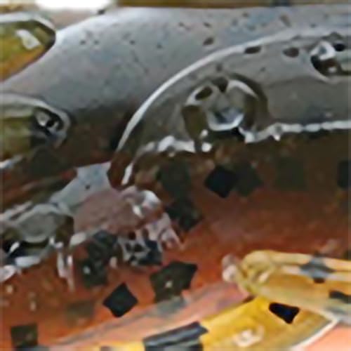 Strike King Rage Scounbug Soft Bait Fishing Lure, 3.5", 2 Rage Flange Pincers - color: Bama Craw