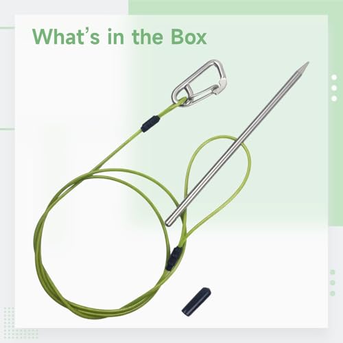 Stainless Steel Fish Stringer, 31.5 in / 80 cm Green Rope, 7.9 in / 20 cm Needle, Safety Buckle and Needle Cap, Fish Holder for Kayak Fishing