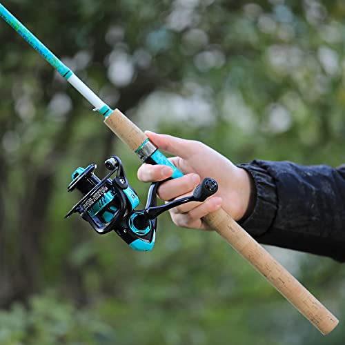 Sougayilang Fishing Rod and Reel Combo, 2-Piece 5-Foot 6-Inch Graphite & Fiberglass Rod, Durable and Strong, Quickset Anti-Reverse Fishing Reel (1Pack/2Pack) - color: Spinning Combo - 2 PACKS