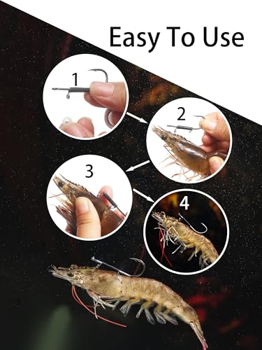 15/40 Packs Live Shrimp Hooks Saltwater Fishing Hooks - High Carbon Steel Barbed 4 Sizes Non-Piercing for Catfish Bass Multi-Environment - color: Medium set (3/0*15pcs)