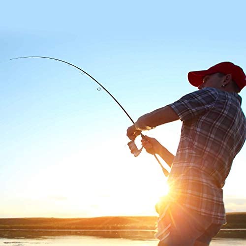 Cadence Essence 2025 Compact Design Spinning Rod 5.6FT | 24-Ton Graphite Lightweight | Stainless Steel SIC Guides | Freshwater & Saltwater | High Sensitivity - style: 6'6"|medium|fast|1 Piece
