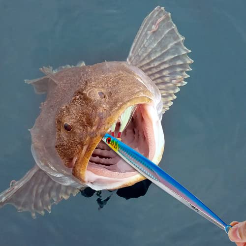 3pcs Saltwater Vertical Fishing Jigs Metal Jigging Spoon | Speed Fast Deep Sea Jigging Fishing Lures Luminous Lead Jigs with Assist Hooksfor Tuna Bass Dogtooth Grouper(5.29oz/5.64oz) - color: C-speed fast sinking fishing jigs 5.64oz