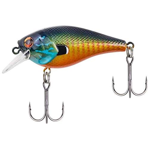 Berkley SquareBull Gilly 5.5 - color: Gilly