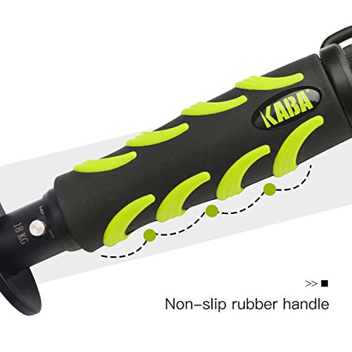 kaba Fish Lip Gripper with Scale, 40 Pound Stainless Steel Fishing Gripper Professional Fishing Lip Grabber Tool, Fish Grabber Clip Fish Control Tackle - color: GREEN