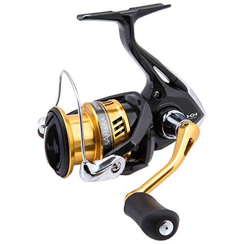 Sahara FI - size: Gear Ratio: 5.0:1 | Size: 2500