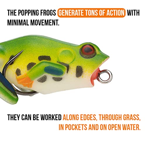 Lunkerhunt Frog Fishing Lure for Bass Fishing | Popping Frog Lure 1/4 oz | Topwater Fishing Bait with Weedless Hooks, Hollow Body, Trout Pike Lures - color: Tree Frog, size: 1.75 inch