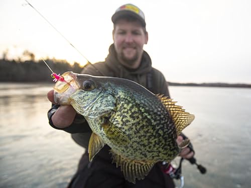 Northland Tackle Rigged Tungsten Broom Bug Ice Fishing Jigs with Sharp Hooks, 2 Pre-Rigged Jig Heads & 3 Extra Ice Fishing Plastics, Tungsten Jig Heads for Panfish, 1/16 Oz, Fruit Fly